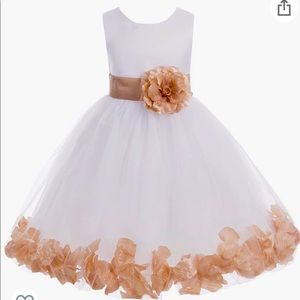 Rose Gold Flower Petal Flower Girl Dress - Size 2
